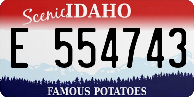 ID license plate E554743