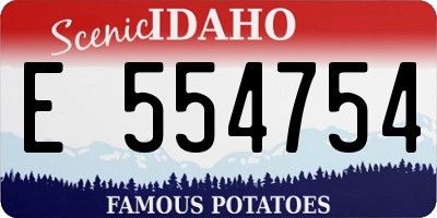 ID license plate E554754