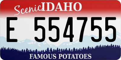 ID license plate E554755