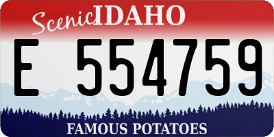 ID license plate E554759