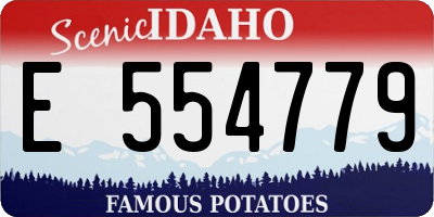 ID license plate E554779