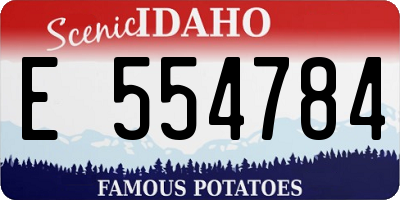 ID license plate E554784