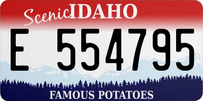 ID license plate E554795