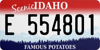ID license plate E554801