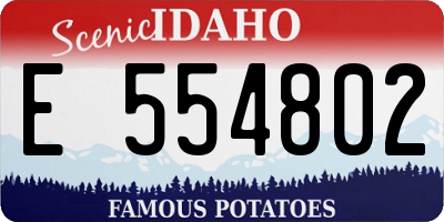 ID license plate E554802