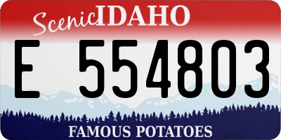 ID license plate E554803
