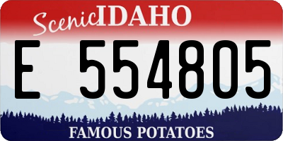 ID license plate E554805