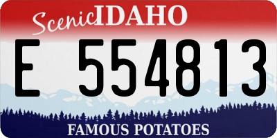 ID license plate E554813