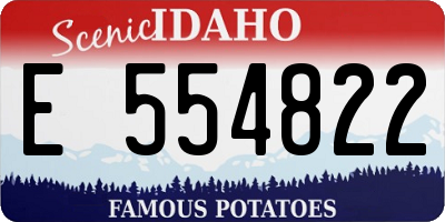 ID license plate E554822
