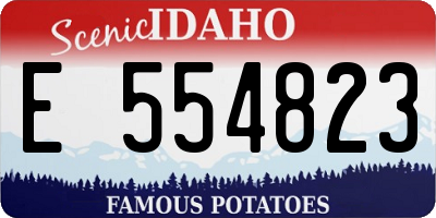 ID license plate E554823
