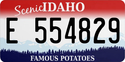 ID license plate E554829
