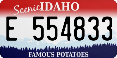 ID license plate E554833