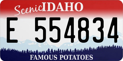 ID license plate E554834