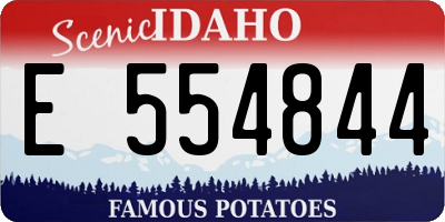 ID license plate E554844