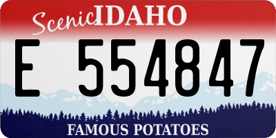 ID license plate E554847