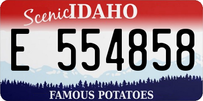 ID license plate E554858
