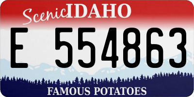 ID license plate E554863