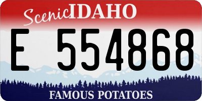 ID license plate E554868