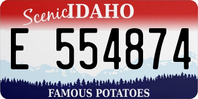 ID license plate E554874