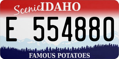ID license plate E554880