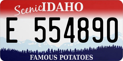 ID license plate E554890