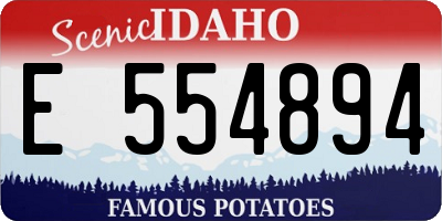 ID license plate E554894