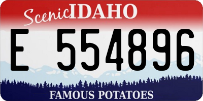 ID license plate E554896