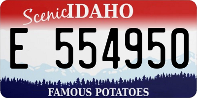 ID license plate E554950