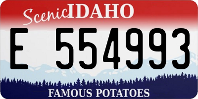 ID license plate E554993