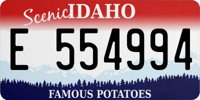 ID license plate E554994