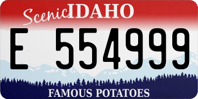 ID license plate E554999