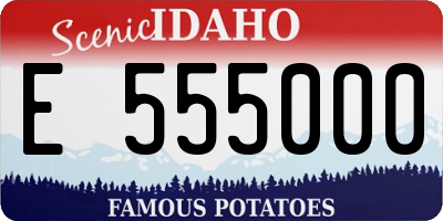 ID license plate E555000