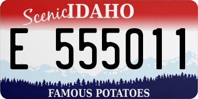 ID license plate E555011