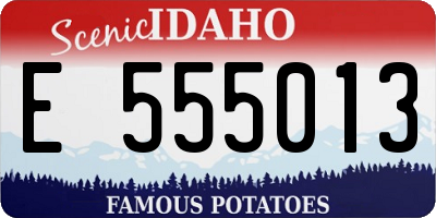 ID license plate E555013