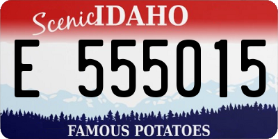 ID license plate E555015