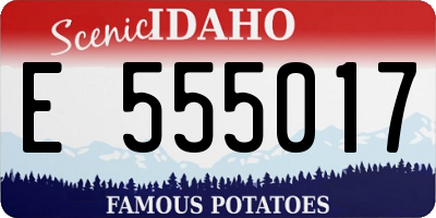 ID license plate E555017