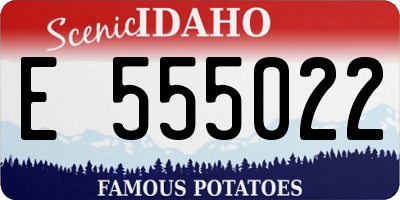 ID license plate E555022