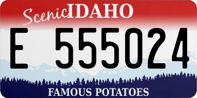 ID license plate E555024