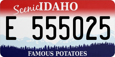 ID license plate E555025