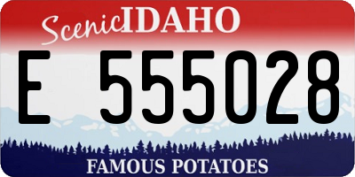 ID license plate E555028