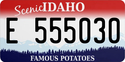ID license plate E555030