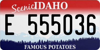 ID license plate E555036