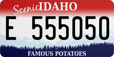 ID license plate E555050