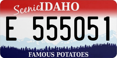 ID license plate E555051