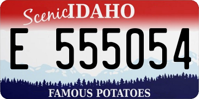 ID license plate E555054