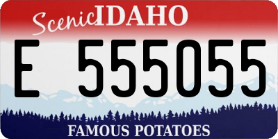 ID license plate E555055