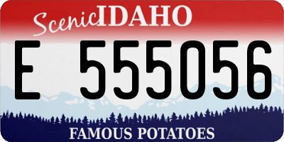 ID license plate E555056
