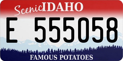 ID license plate E555058