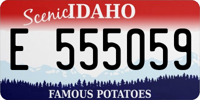ID license plate E555059