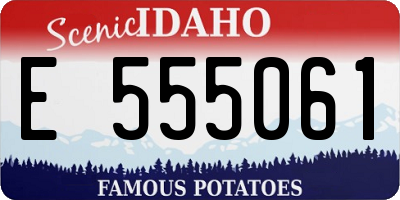 ID license plate E555061